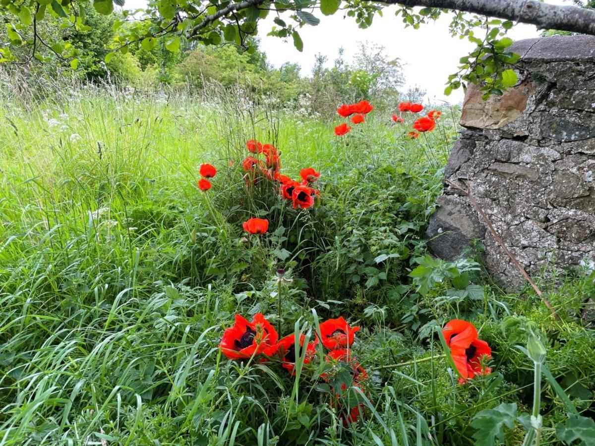 Marnoch Deveron Valley Cottages מראה חיצוני תמונה